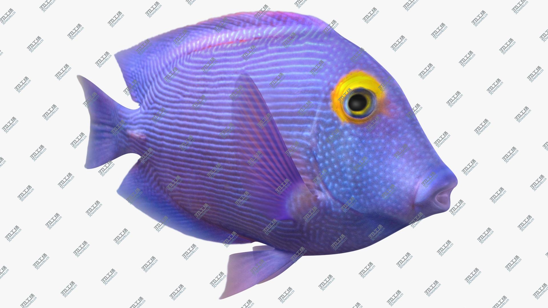 images/goods_img/2021040231/Kole Tang Animated 3D model/1.jpg